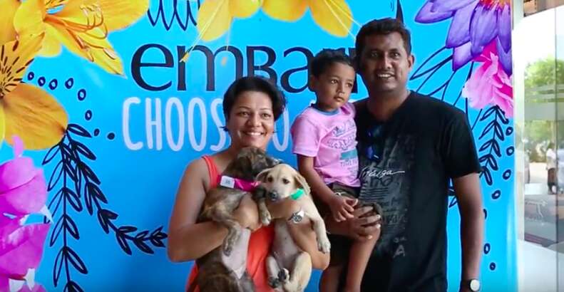 Family holding dogs