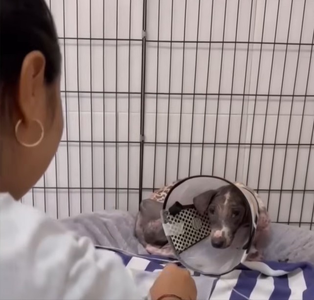 Rescue Image